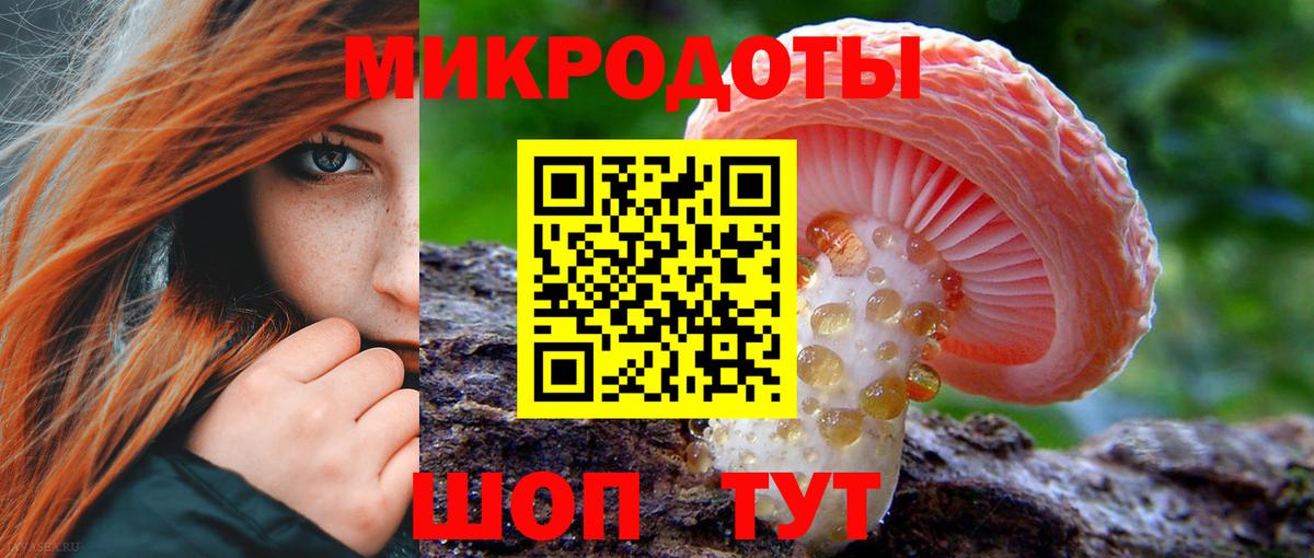Куйбышев  Псилоцибиновые грибы Cubensis  Галлюциногенные грибы Cubensis  Вход с VPN 